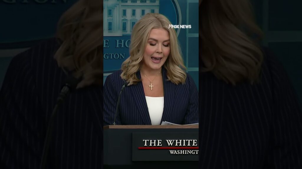 Karoline Leavitt blames “judicial activists” for the “real constitutional crisis” happening in US