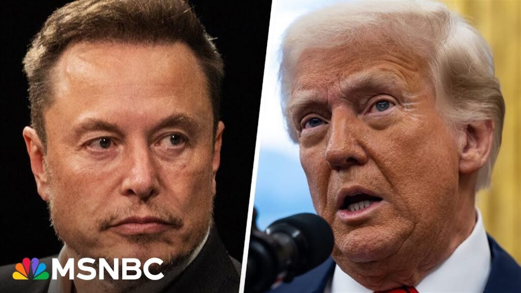 ‘Co-president’ Musk’s ‘unconstitutional and illegal behavior’ needs to be corrected: Lawmaker