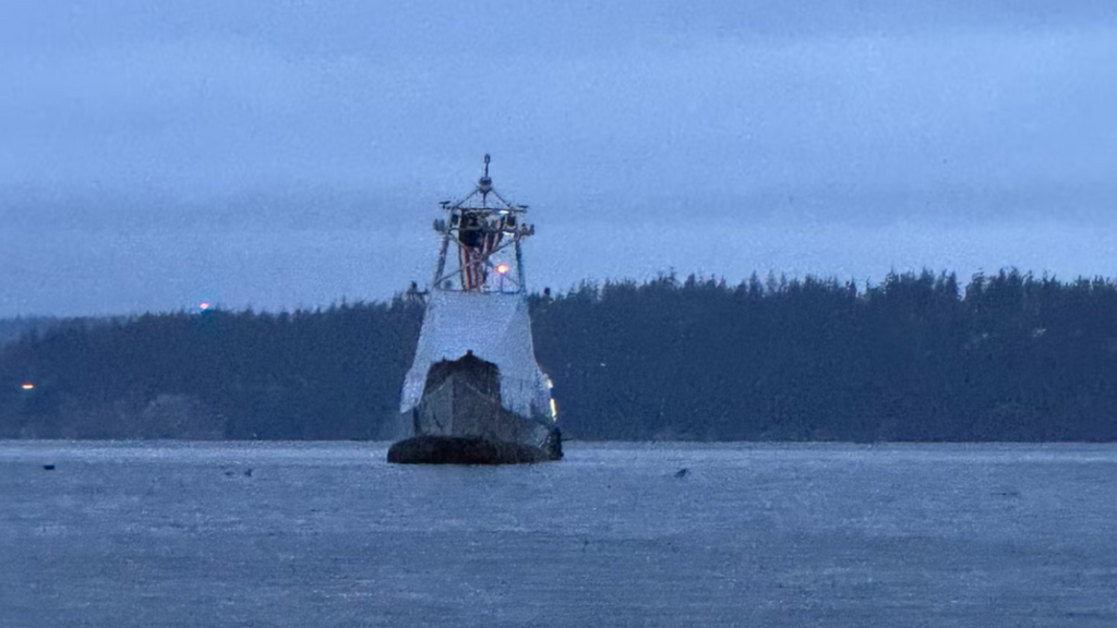 Mystery ship without any humans seen near Washington state. It is a drone…