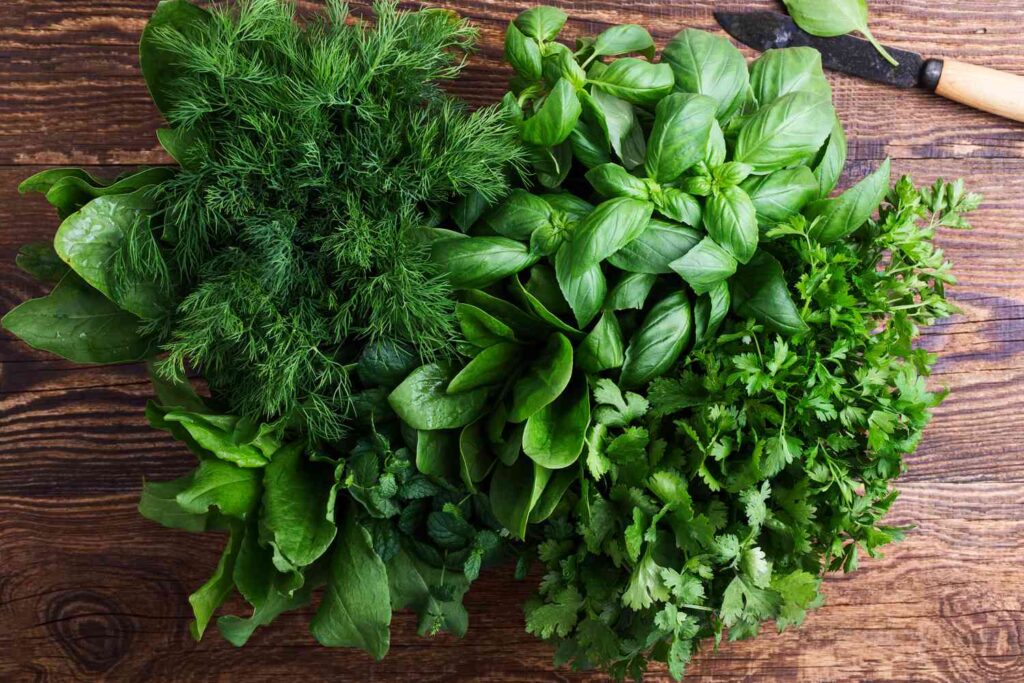 How To Store Herbs From The Garden