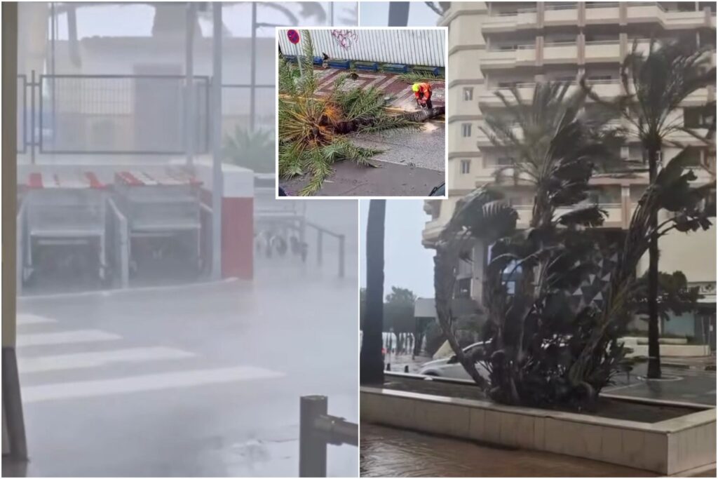 ‘It’s the end of the world!’: Locals in Marbella take shelter from Storm Konrad as fierce winds and rain batter Spain’s Costa del Sol