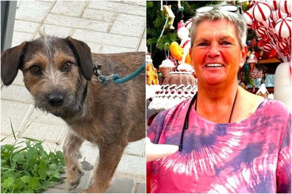 Fears for missing German carer and her dog who vanished from Spain’s Costa del Sol two days ago