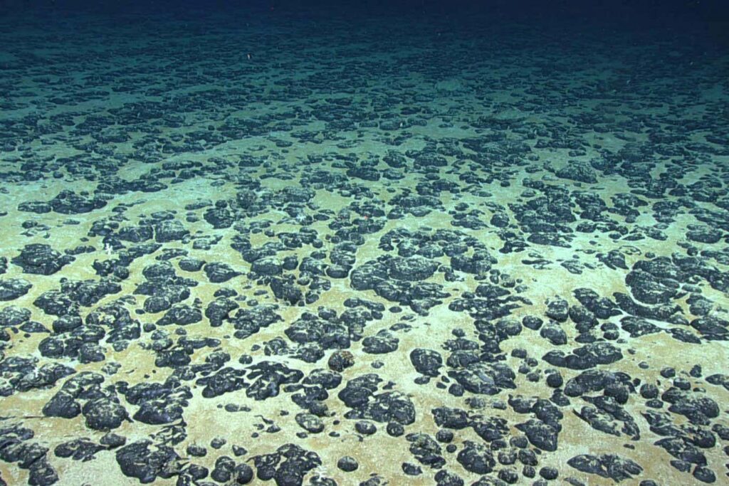 We may have discovered how dark oxygen is being made in the deep sea