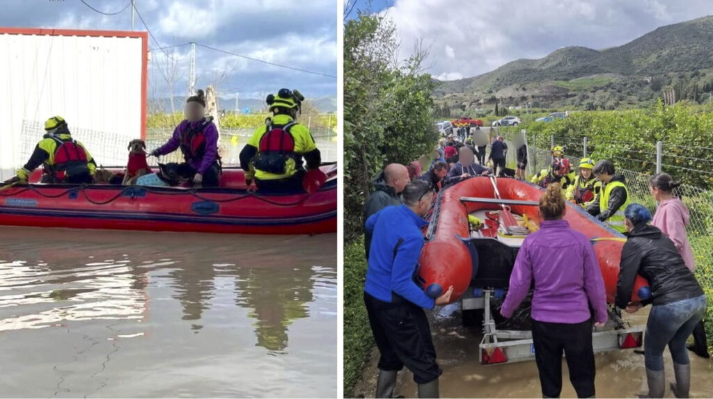 Dramatic rescue at flooded dog shelter « Euro Weekly News