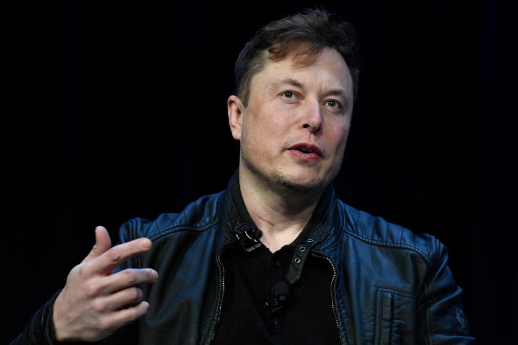 Musk’s embrace of right-wing politics risks turning off car buyers and sinking Tesla’s stock