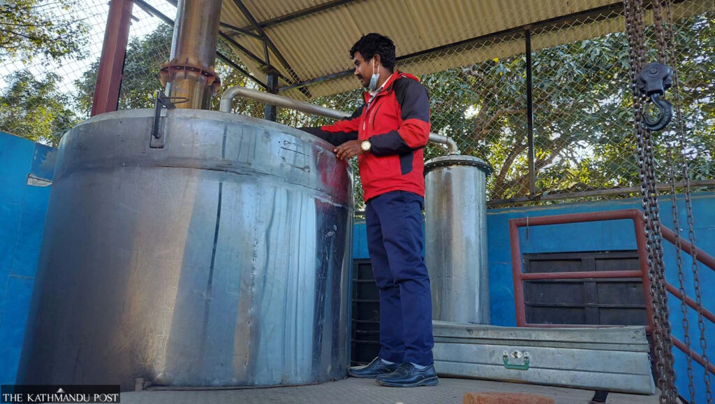 Kavre begins producing oil from Titepati, other herbs