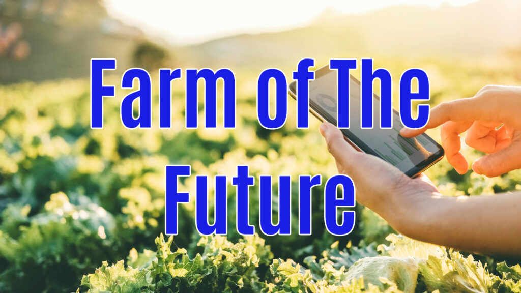 Trade War Could Have Lasting Impacts on the Farm Economy