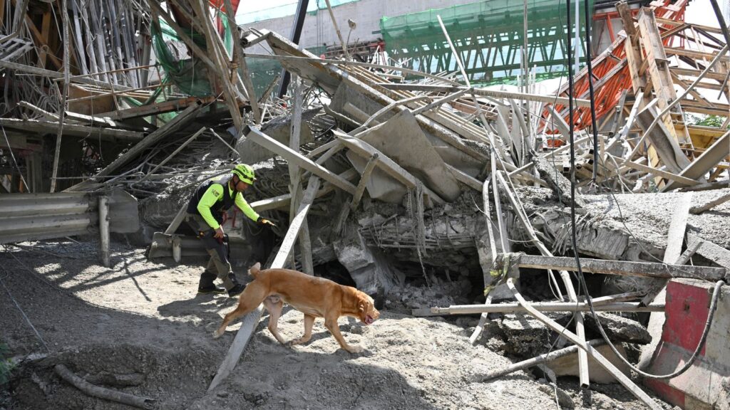 At least five dead after road collapses during construction in Thailand | World News