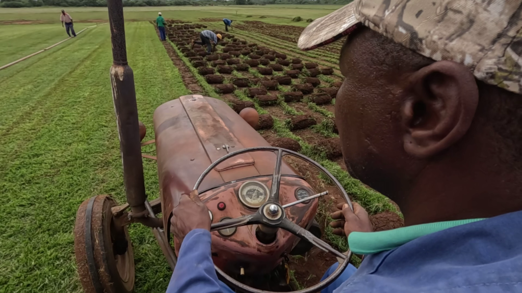 Tens of thousands of jobs on South Africa’s citrus farms at risk if US imposes tariffs | World News