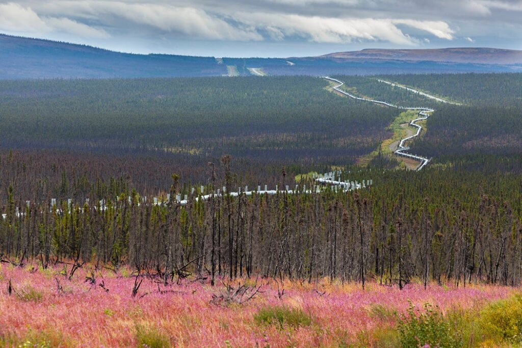 State Politics and Public Lands Management