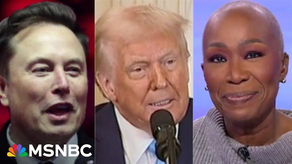 Co-president Musk a ‘real miscalculation’ by Trump as backlash erupts over billionaire’s tinkering