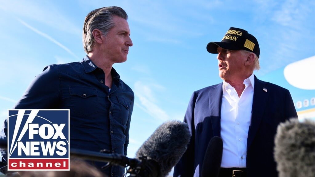 ‘We need your help’: Trump and Newsom put differences aside in wake of CA wildfires