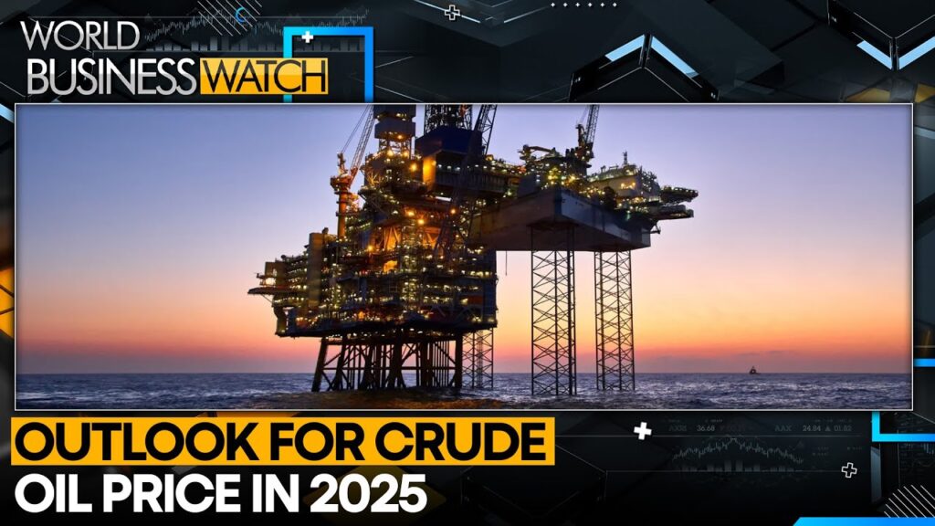 Goldman Sachs Warns Oil Could Drop Below  | World Business Watch | WION