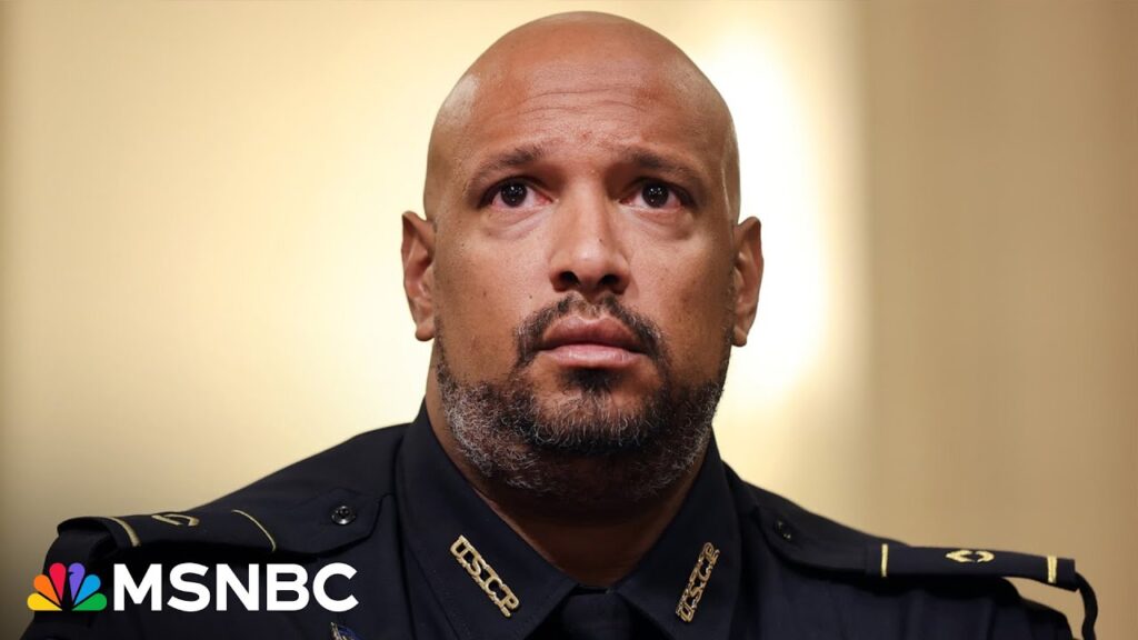 Harry Dunn: Jan 6 pardons are a ‘slap in the face’ to Capitol Police officers