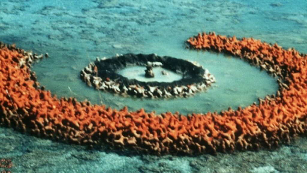 Japan says China conducted research near Pacific atoll