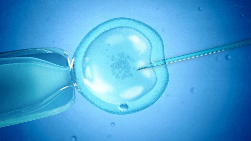 The start-up working to weed out genetic disease before birth