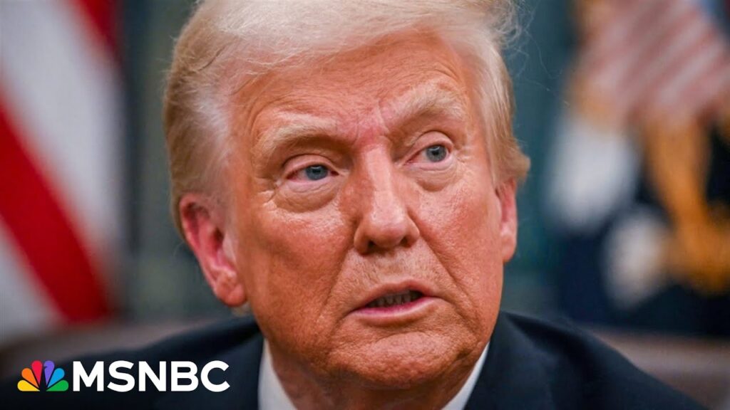 Trump immigration crackdown: Asylum system has come to ‘complete halt’