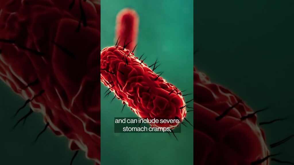 McDonald’s E. Coli Outbreak: Onions could be to blame