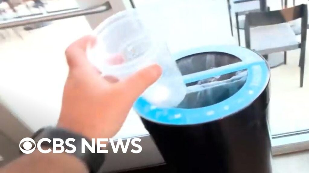 Starbucks plastic cup investigation shows recycling reality