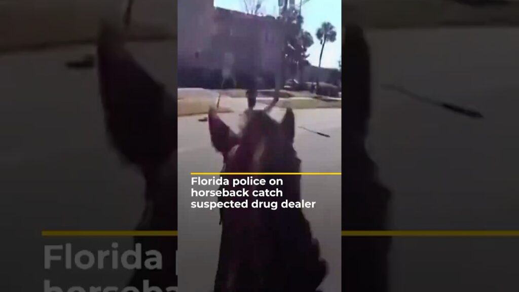 Florida police catch suspected drug dealer on horseback