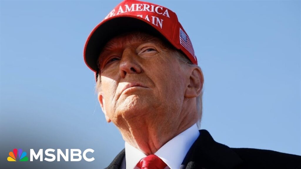 Return of the king? Trump ‘pushing the boundaries’ of executive power