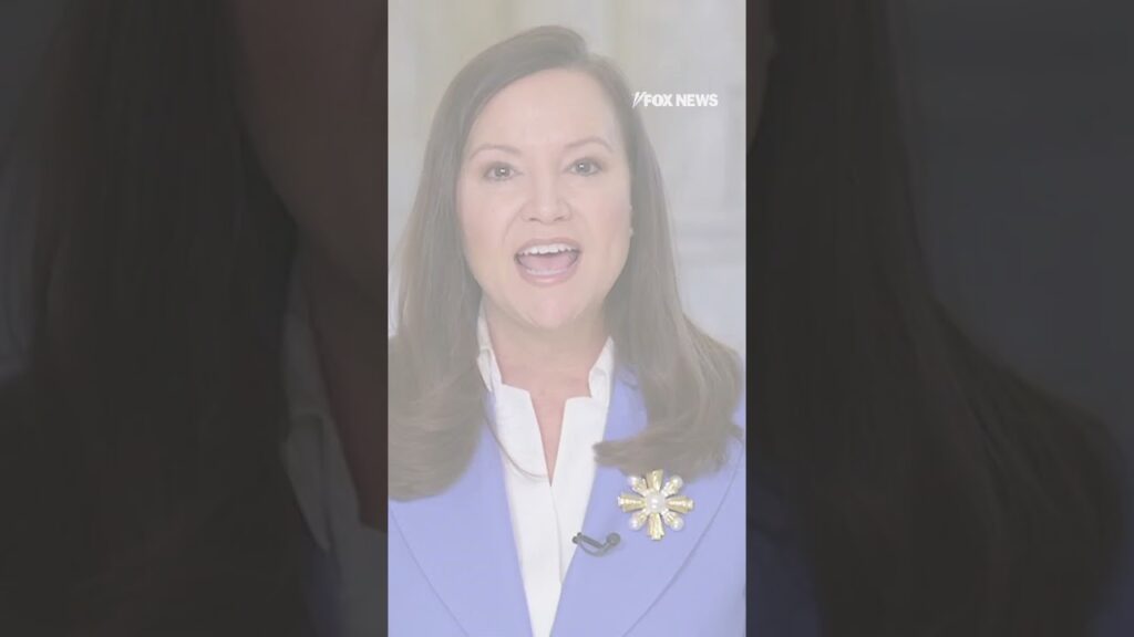 Sen Ashley Moody says officials who hamper ICE are committing a ‘felony’