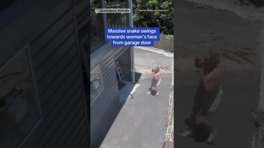 Massive snake swings toward woman’s face from garage door #shorts