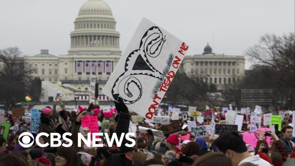 What will the Trump resistance movement look like during his new term?