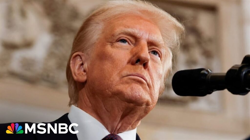 Slash and burn presidency? Trump scraps federal DEI policies, top immigration court officials