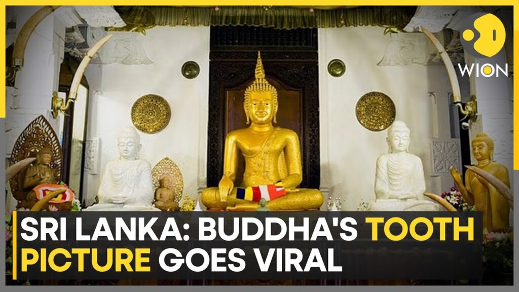 Sri Lanka: Buddha’s Tooth Picture Goes Viral; Authorities To Probe Authenticity Of Picture | WION