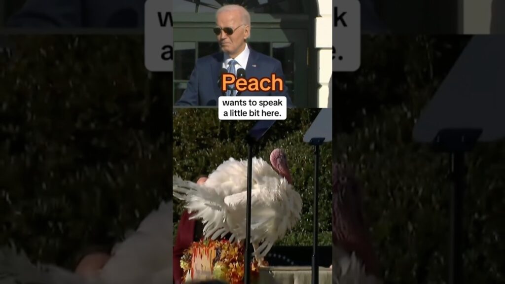 Biden pardons two turkeys from Minnesota ahead of Thanksgiving #shorts