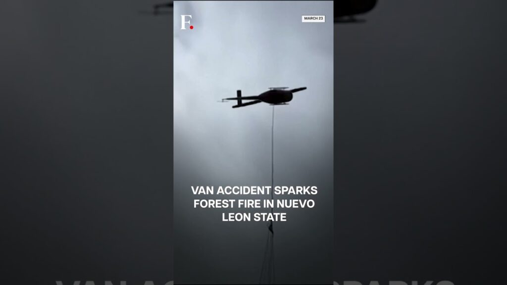 Mexico: Van Accident Kills 12, Triggers Forest Fire | Subscribe to Firstpost  | N18G