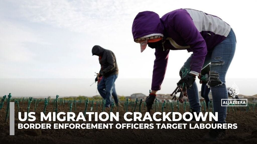US immigration raids spark fear among farmworkers, risking labour shortages and rising food prices
