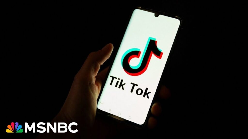 ‘Awful disinformation network’ lies within TikTok: Fmr. GOP Rep.