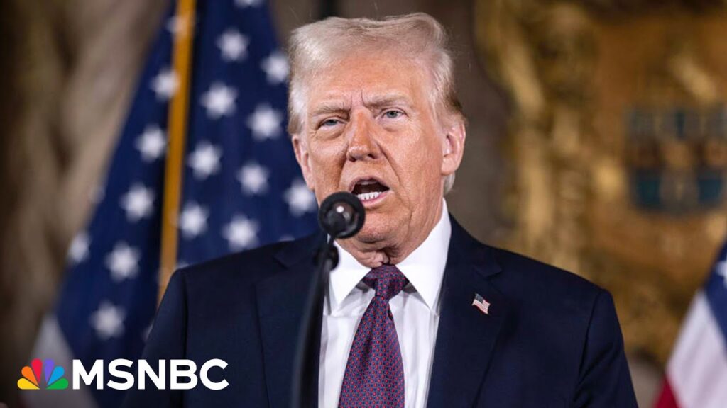 ‘Day One’ dictator: Trump’s ‘explosion of executive orders’ to ‘shock and awe’ the American people