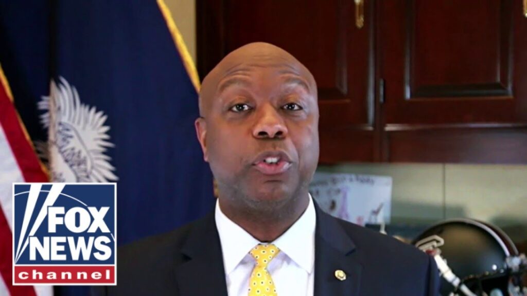 Mayorkas should have ‘resigned’: Sen. Tim Scott
