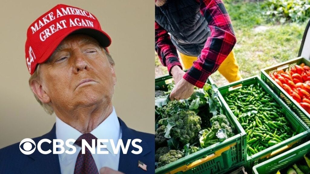 How Trump’s mass deportation plans could affect food, farming industry