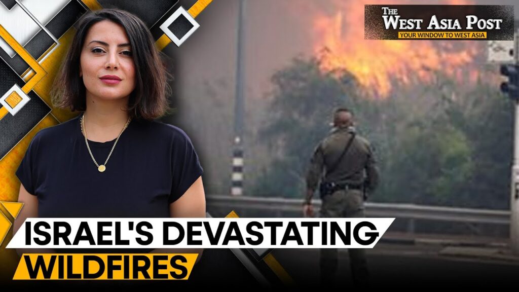 Blame-game Over Israel Blaze | Israel Wildifire | The West Asia Post | WION