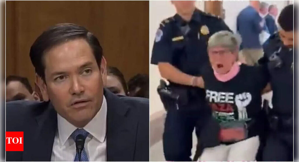 ‘Stop the genocide’: Protesters disrupt Marco Rubio’s Senate budget testimony