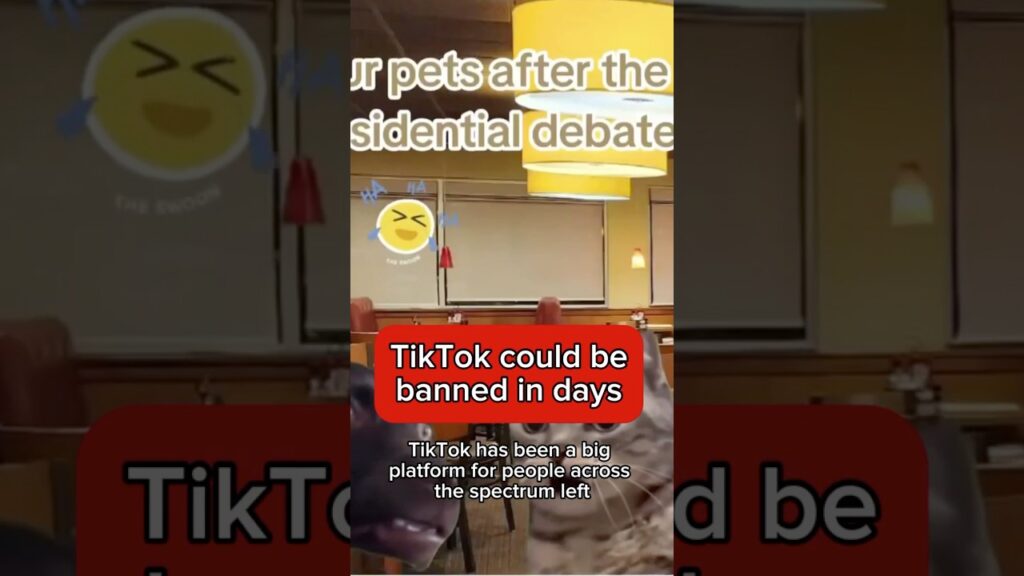 TikTok could be banned in days