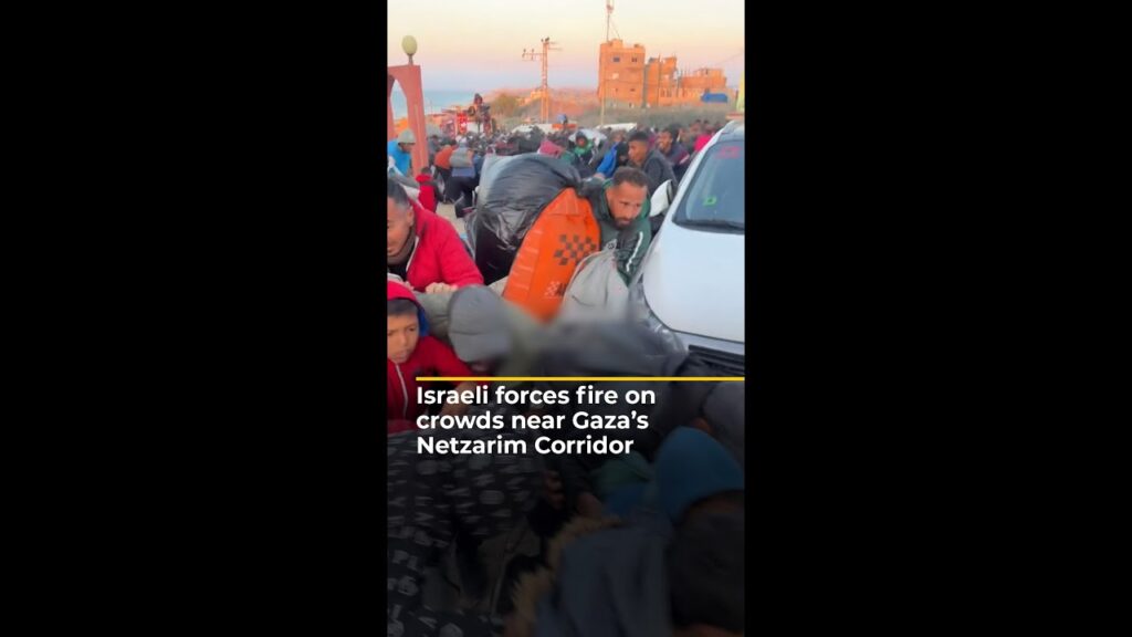 Israeli forces fire on crowds near Gaza’s Netzarim Corridor | AJ #shorts