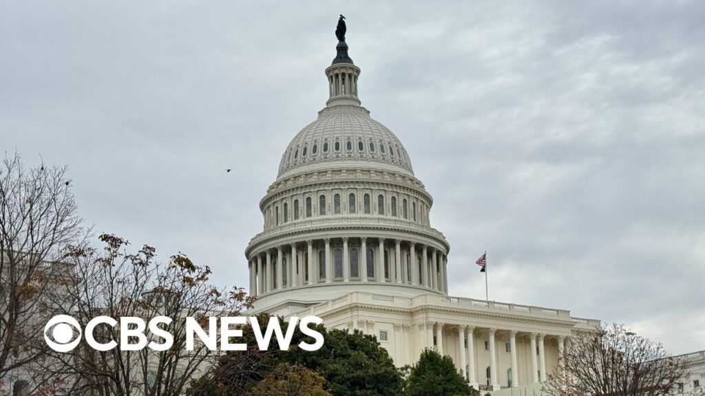 Government shutdown deadline 1 month away, Democrats’ Latino voter strategy, more | America Decides