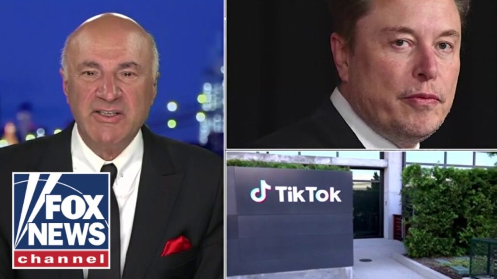 ‘Slim’ chance of Musk getting TikTok, Kevin O’Leary says