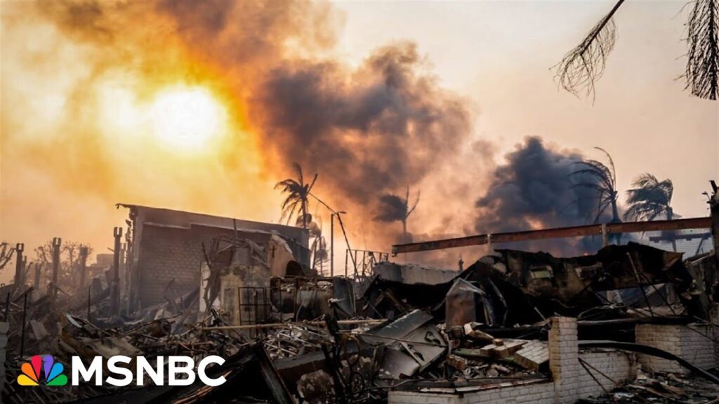 ‘I’m holding back tears’: Palisades resident lost home and business in wildfire