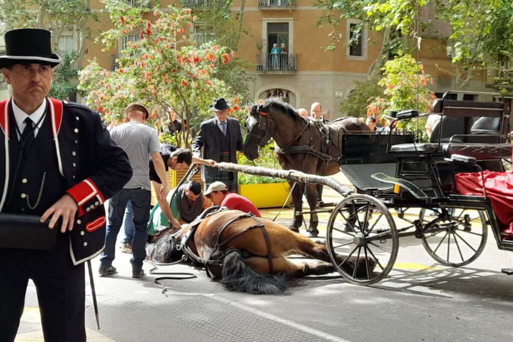 Horse dies at Barcelona parade « Euro Weekly News