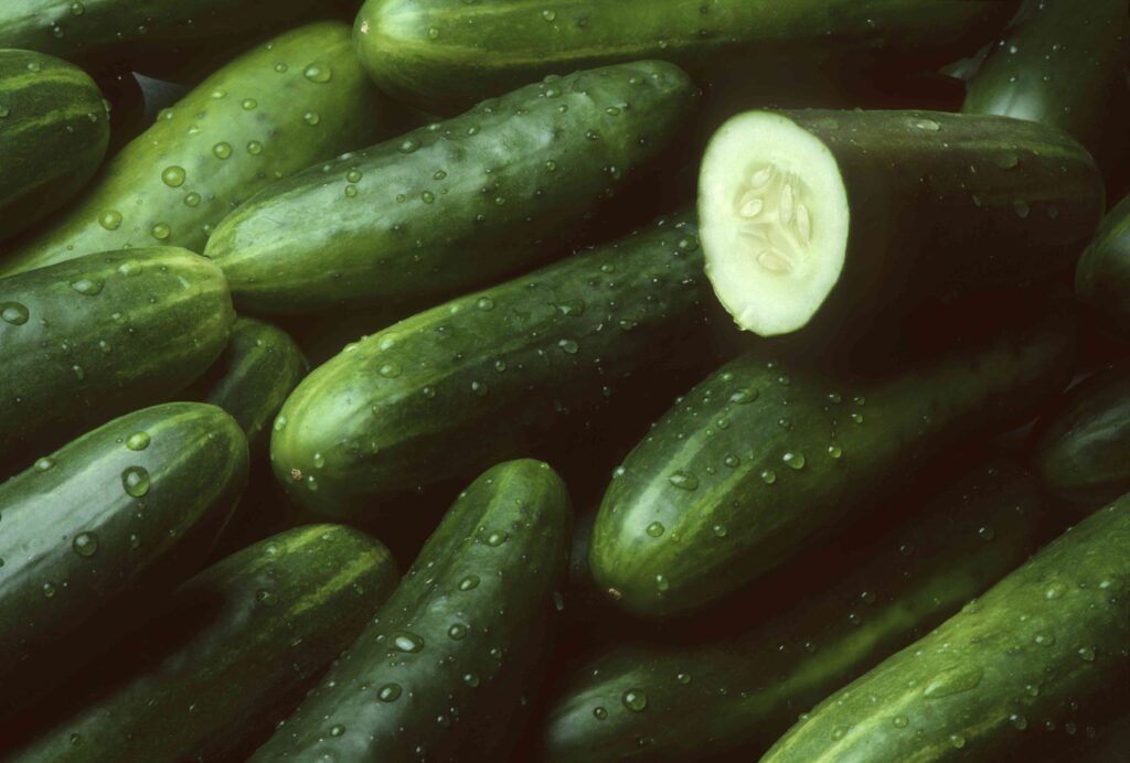 Cucumbers Recalled Nationwide as Salmonella Outbreak Sickens Dozens—What to Know