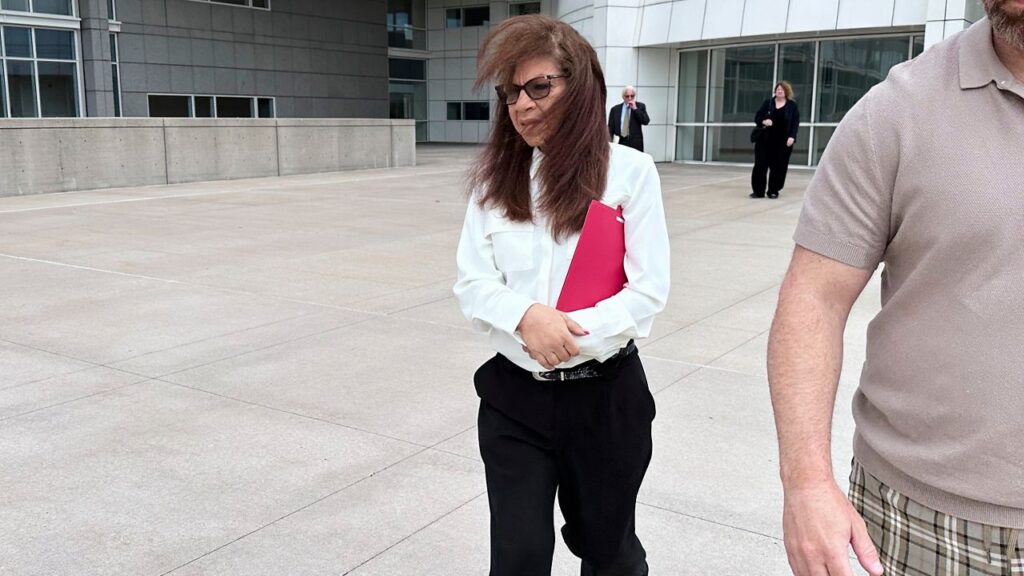 George Santos’ former treasurer sentenced to probation