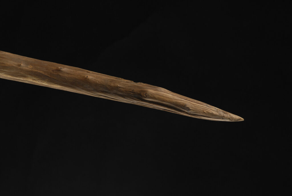 Ancient wooden spears found in Germany may have been wielded by Neanderthals, a new study suggests