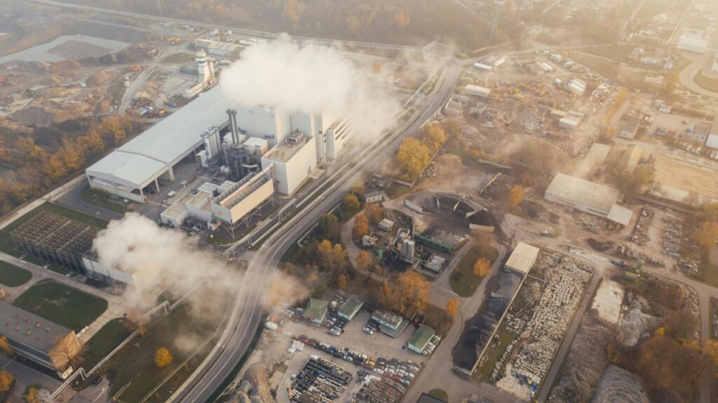 Top carbon footprint tools for businesses