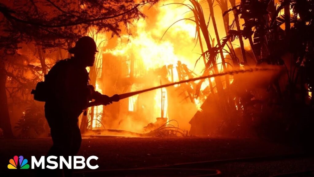 ‘Can use all the help we can get’: Fire chief describes devastating impact of California wildfires